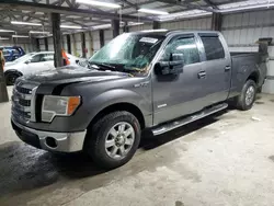 Salvage trucks for sale at Madisonville, TN auction: 2013 Ford F150 Supercrew