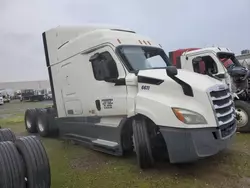 Freightliner salvage cars for sale: 2019 Freightliner Cascadia 116