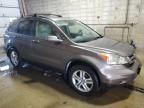 2010 Honda CR-V EXL