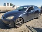 2008 Lexus IS 250