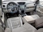 2011 Honda Pilot EXL