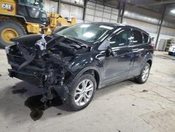 Salvage cars for sale at Des Moines, IA auction: 2019 Ford Escape SE