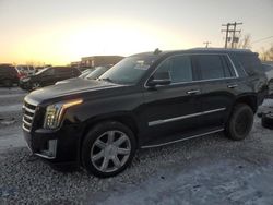 Salvage cars for sale at Wayland, MI auction: 2017 Cadillac Escalade Luxury