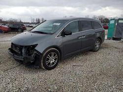 Salvage cars for sale at Columbus, OH auction: 2013 Honda Odyssey EX