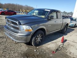 Salvage cars for sale at Windsor, NJ auction: 2010 Dodge RAM 1500