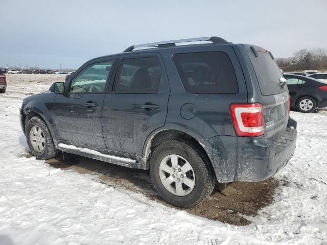 2009 Ford Escape Limited