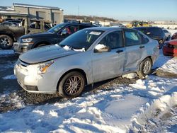 Salvage cars for sale at Earlington, KY auction: 2010 Ford Focus SE