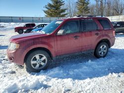 Salvage cars for sale at Davison, MI auction: 2011 Ford Escape XLT