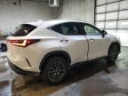 2022 Lexus NX 250