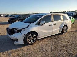 Salvage cars for sale at Houston, TX auction: 2024 Honda Odyssey Touring