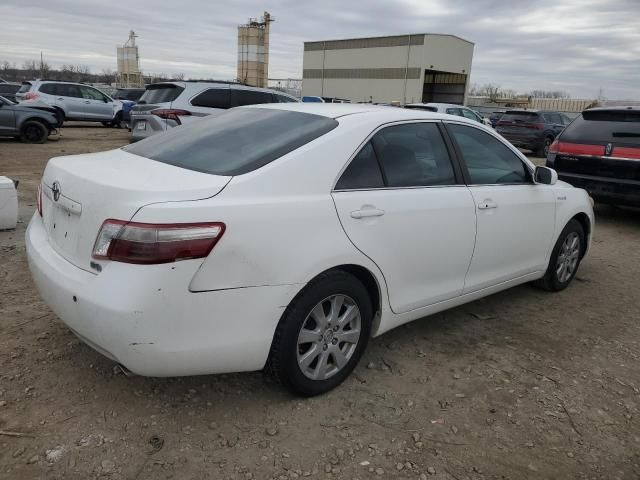 2009 Toyota Camry Hybrid