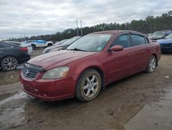 Nissan salvage cars for sale: 2005 Nissan Altima S