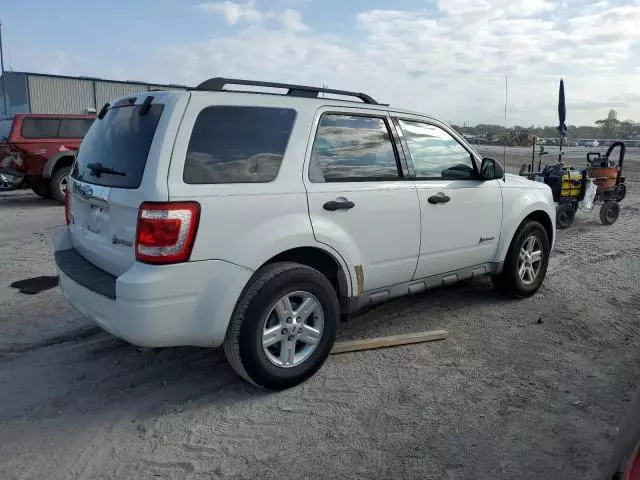 2009 Ford Escape Hybrid