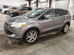 Ford Escape salvage cars for sale: 2013 Ford Escape SEL