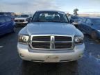 2006 Dodge Dakota ST