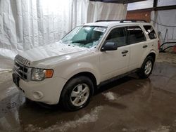 Vehiculos salvage en venta de Copart Ebensburg, PA: 2011 Ford Escape XLT