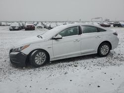 Hyundai Vehiculos salvage en venta: 2017 Hyundai Sonata Hybrid