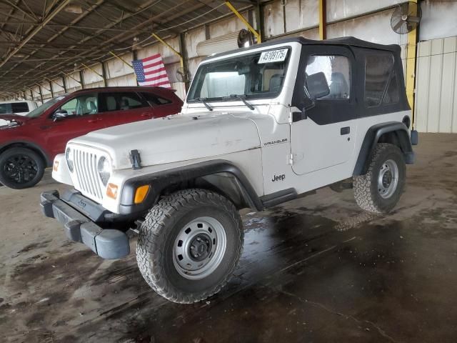 2002 Jeep Wrangler / TJ SE