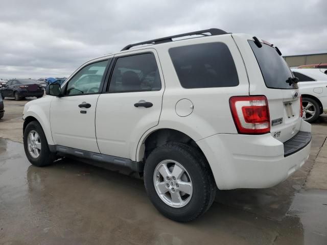 2011 Ford Escape XLT