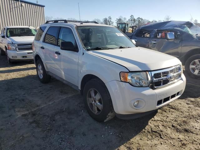 2011 Ford Escape XLT