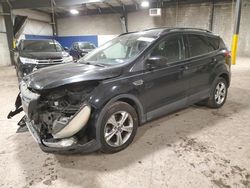 Salvage cars for sale at Chalfont, PA auction: 2013 Ford Escape SE