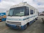 1996 Winnebago 1996 Chevrolet P30