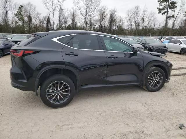 2024 Lexus NX 250 Premium