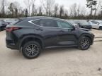 2024 Lexus NX 250 Premium