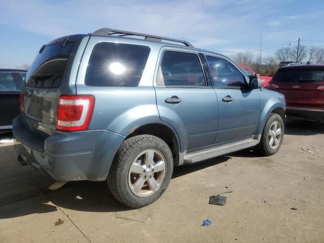 2010 Ford Escape XLT