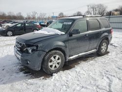 Salvage cars for sale at Chicago Heights, IL auction: 2009 Ford Escape Limited