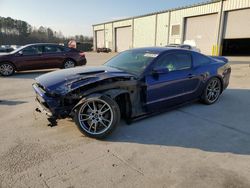 Salvage cars for sale at Gaston, SC auction: 2013 Ford Mustang GT