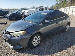 Salvage cars for sale at Riverview, FL auction: 2016 Toyota Corolla L