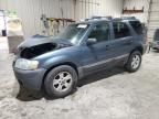 2005 Ford Escape XLT