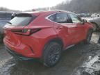 2024 Lexus NX 350 Base