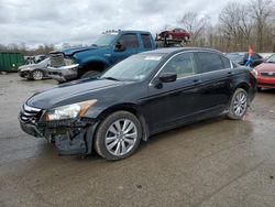 Salvage cars for sale at Ellwood City, PA auction: 2011 Honda Accord EXL