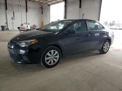 Salvage cars for sale at Lexington, KY auction: 2016 Toyota Corolla L