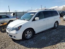 Carros salvage a la venta en subasta: 2005 Honda Odyssey EX