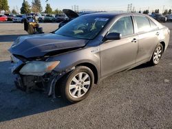 Salvage cars for sale at Rancho Cucamonga, CA auction: 2009 Toyota Camry Hybrid