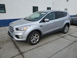 Ford Escape se salvage cars for sale: 2017 Ford Escape SE