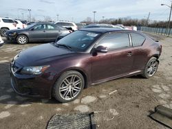 Salvage cars for sale at Indianapolis, IN auction: 2011 Scion TC