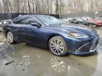 2021 Lexus ES 350 Base