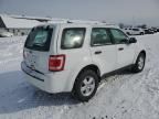 2011 Ford Escape XLS