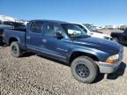 2001 Dodge Dakota Quattro