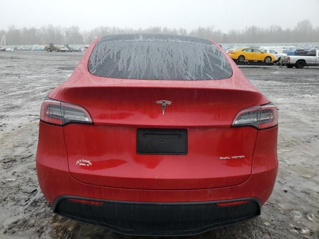 2020 Tesla Model Y