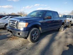 Salvage cars for sale at Glassboro, NJ auction: 2012 Ford F150 Supercrew