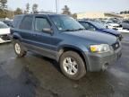 2006 Ford Escape XLT