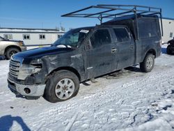 Salvage cars for sale at Airway Heights, WA auction: 2013 Ford F150 Supercrew