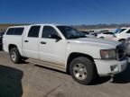 2008 Dodge Dakota Quad SLT