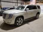 2015 Cadillac Escalade