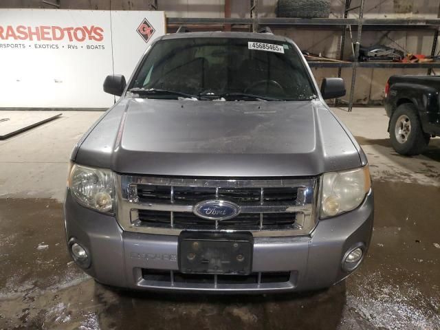 2008 Ford Escape XLT